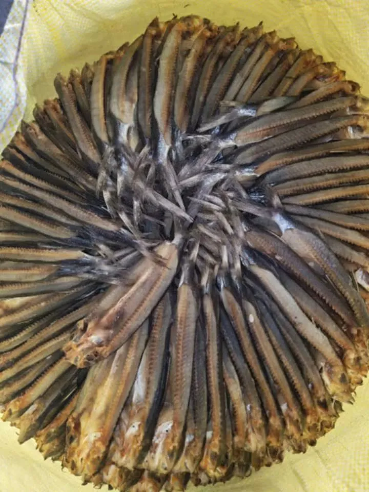 Dried Flying Fish